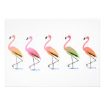 March of the Tropical Flamingos Invites