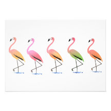 March of the Tropical Flamingos Invites
