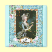 Marie Antoinette Lace Pink Roses magnets