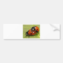 Marienkäfer Auto Sticker