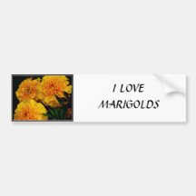 Marigolds Bumper Stickers
