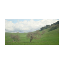 Marin County Canvas Prints