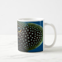 Marine Betta Mug - 15oz.