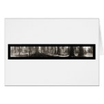 Mariposa Big Tree CA Photo 1906 Cards