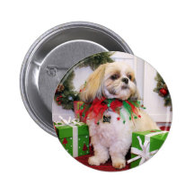 Marley - Shih Tzu - Robbins Buttons