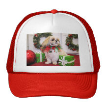 Marley - Shih Tzu - Robbins Hat