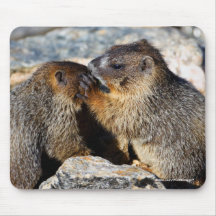 Marmot Mouse Pad