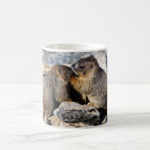 Marmot Mugs