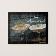 Marry Me Proposal Puzzle