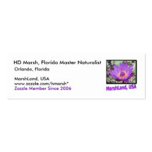 MarshLand, USA Contact Card Business Card Templates