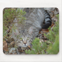 Mary in the cedar mouse mat
