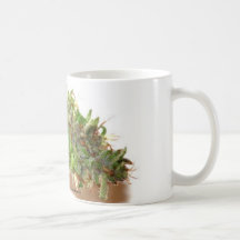 Mary Mary... Mugs