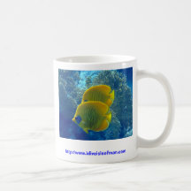 Masked Butterfly fish... on a mug!
