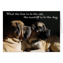 Mastiff pair Card