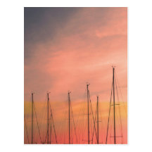 Masts Postcard