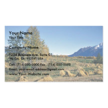 Matanuska Valley Hay Field Business Cards