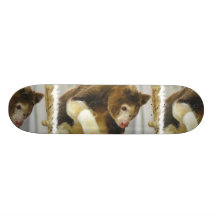 Matchies Tree Kangaroo  Skateboard