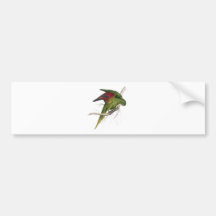 Maton’s Parrakeet by Edward Lear Bumper Sticker