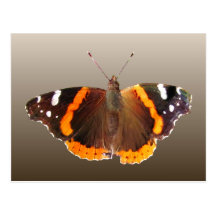 Mature Beauty ~ postcard