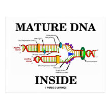 Mature DNA Inside (DNA Replication) Post Card