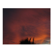maui sunset sky postcard