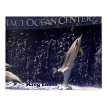 Mauii Ocean  Hang Loose Postcards