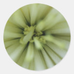 May Flowers Round Stickers