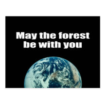 May the forest be with you - post cards