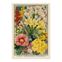Mayflower Vintage Seed Cover posters