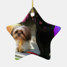 me and my sister christmas tree ornament