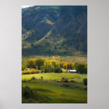 Meadow in Unaweep Canyon Posters