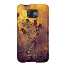 Meadow sunset galaxy SII covers