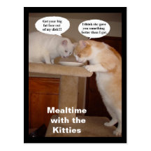 Mealtime with the Kitties Post Cards