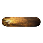 MeddockPhoto_Skateboard_Art