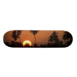 MeddockPhoto_Skateboard_Art