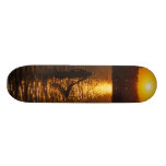 MeddockPhoto_Skateboard_WBoard