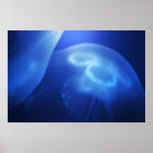 Medusa 1 print