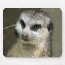 Meerkat Mouse Pads