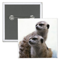 Meerkat Pair Square Pin