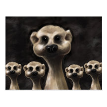 Meerkat postcard