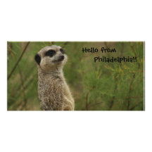 Meerkat says Hello from Philadelphia!! Customized Photo Card