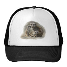 meerkats trucker hat