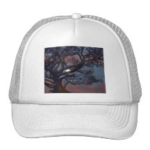 Memory of the Moon Mesh Hat