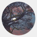 Memory of the Moon Sticker