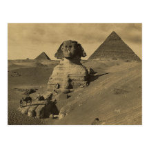 Men and Camels on the Paw of the Sphinx, Pyramids Post Cards
