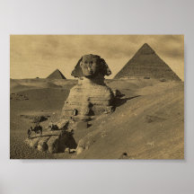 Men and Camels on the Paw of the Sphinx, Pyramids Print