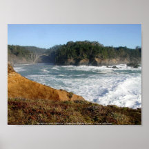 Mendocino Coast, California Poster