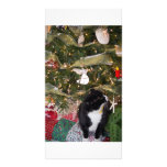 Meow Christmas Photo Cards