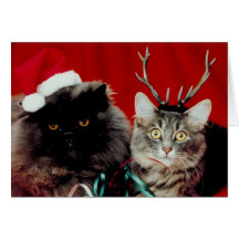 Meowy Christmas card