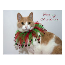 Meowy Christmas Postcards